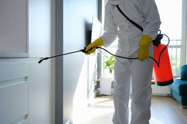 Best Mold Remediation for Specific Building Types in USA